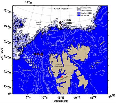 Evidence of Diel Vertical Migration of Mesopelagic Sound-Scattering Organisms in the Arctic